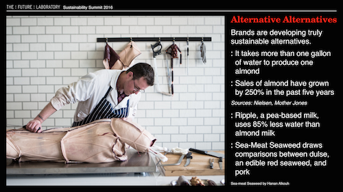 Sustainability Summit