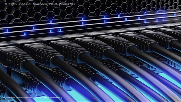 The Dislocated World