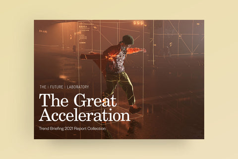 The Great Acceleration : Macrotrend Collection 2021