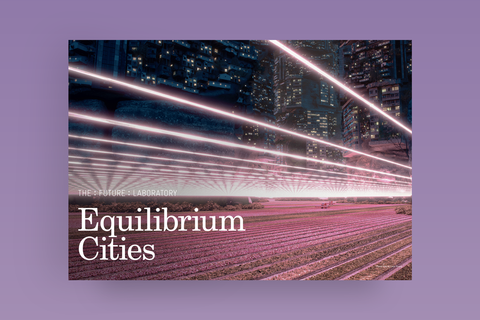 Equilibrium Cities Report