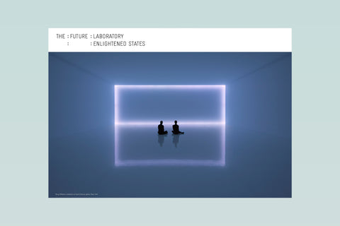 Experience 2030 Report : Enlightened States