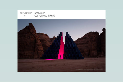 Brand 2030 Report : Post-purpose Brands