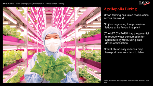 Whole-system Thinking