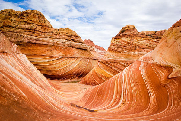 The Trends of the Trends