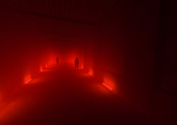 Australia Trend Briefing 2018 : Sydney