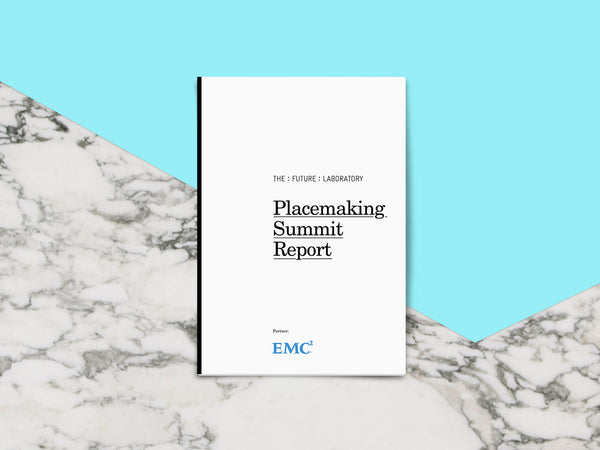 Placemaking Summit Report 2016